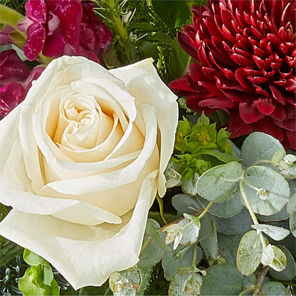 Cranberry Fizz Bouquet –  Salem Floral Llc, West Salem WI