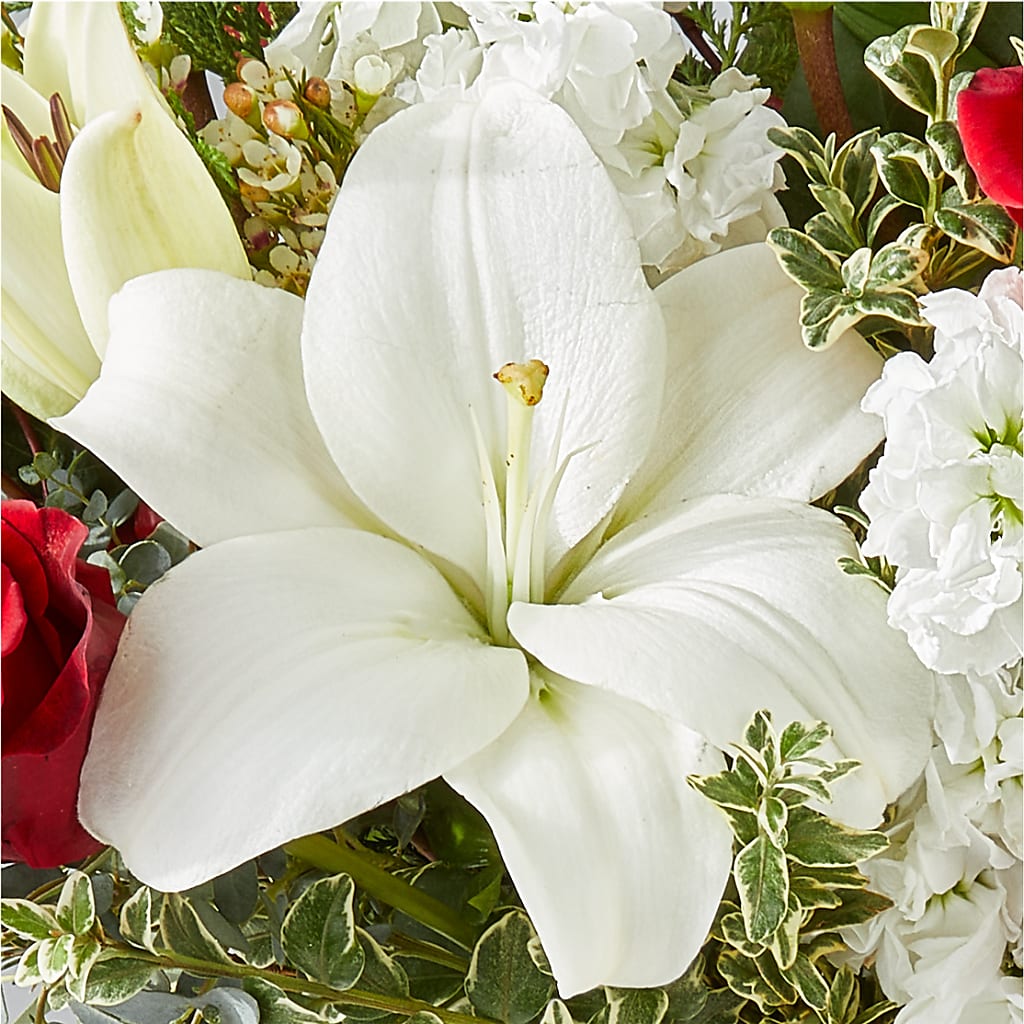 Twinkle Lights Bouquet –  Salem Floral Llc, West Salem WI