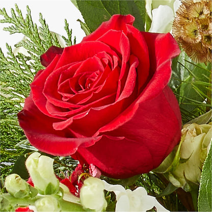 Deck the Halls Bouquet –  Salem Floral Llc, West Salem WI