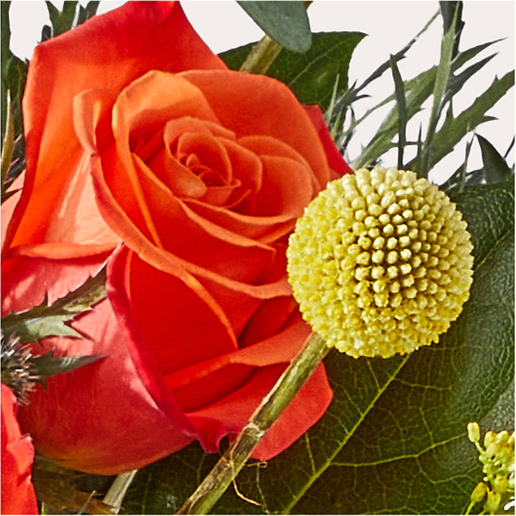 Disco Bouquet –  Salem Floral Llc, West Salem WI
