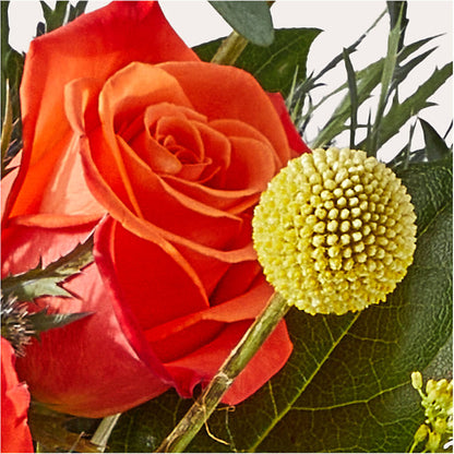 Disco Bouquet –  Salem Floral Llc, West Salem WI