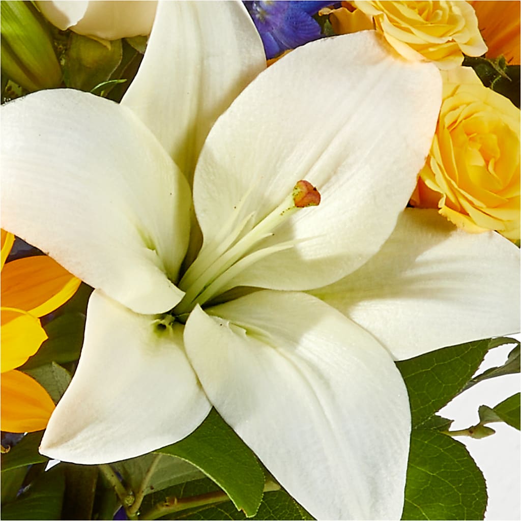 Wonderfully Sunny Bouquet –  Salem Floral Llc, West Salem WI