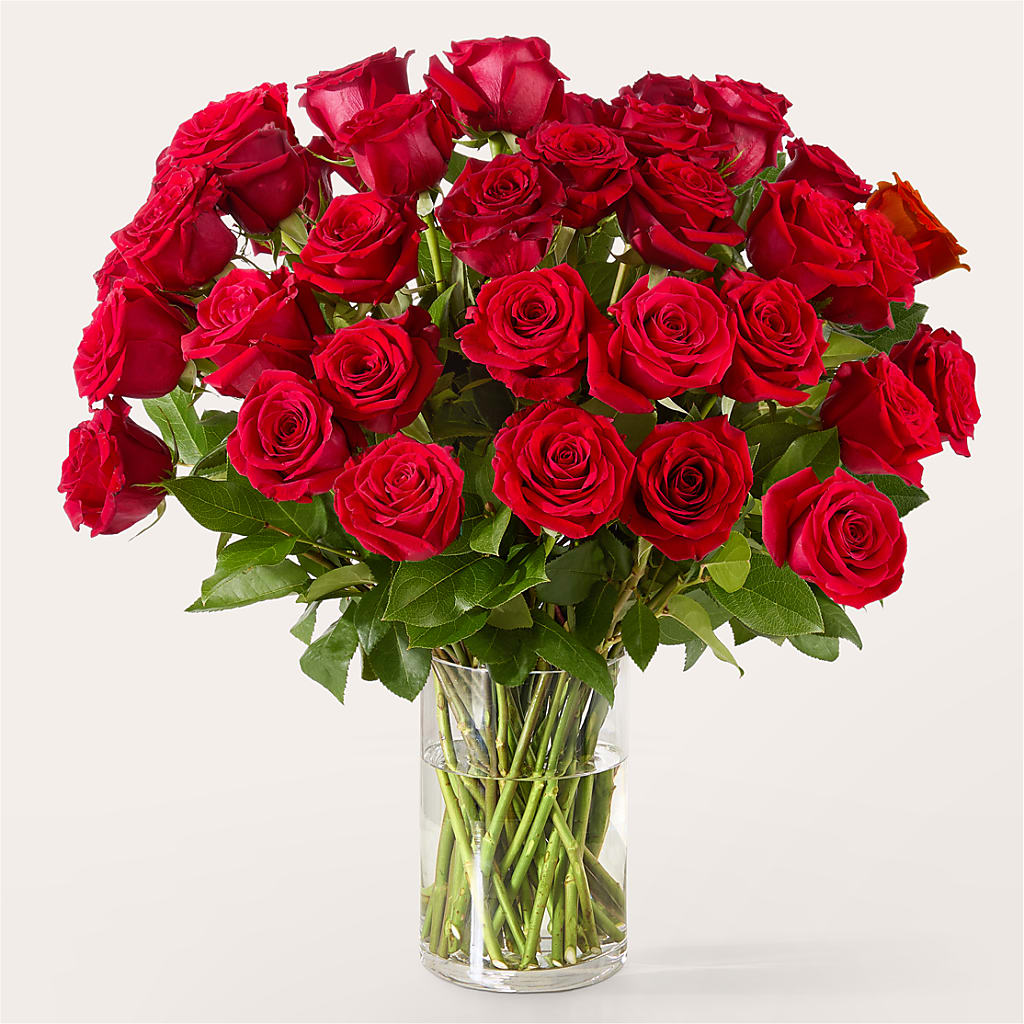 The One Red Rose Bouquet –  Salem Floral Llc, West Salem WI