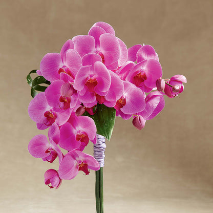 Glorious Bouquet –  Salem Floral Llc, West Salem WI