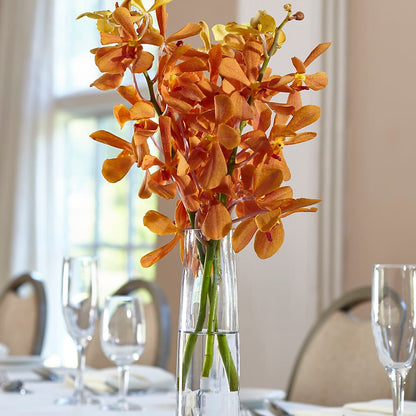 Orange Mokara Bud Vase –  Salem Floral Llc, West Salem WI