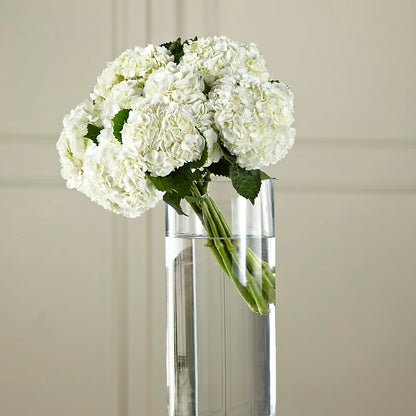 White Hydrangea Hand-Tied Bouquet –  Salem Floral Llc, West Salem WI