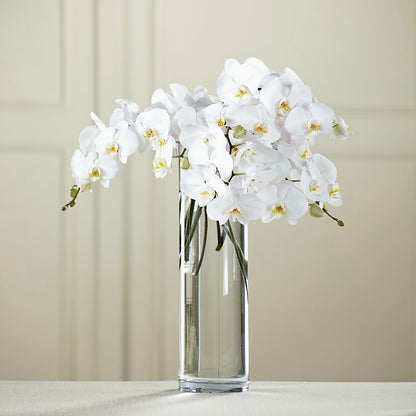White Phalaenopsis Bouquet –  Salem Floral Llc, West Salem WI