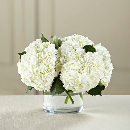 White Hydrangea Bouquet –  Salem Floral Llc, West Salem WI
