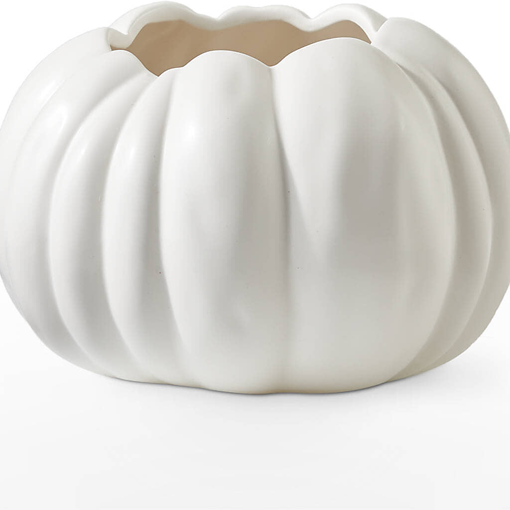 Pumpkin to Talk About Bouquet –  Salem Floral Llc, West Salem WI